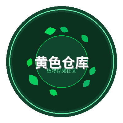 黄色仓库